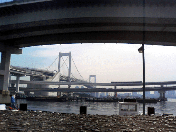 b0182613_15565365.gif