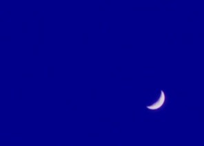 d0129713_17533669.jpg