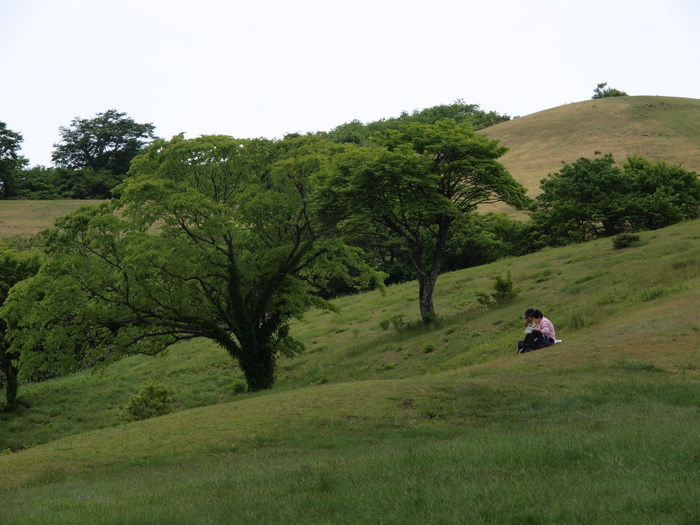 広島市植物公園の友の会の野外観察会　吾妻山　その１_c0116915_1149747.jpg