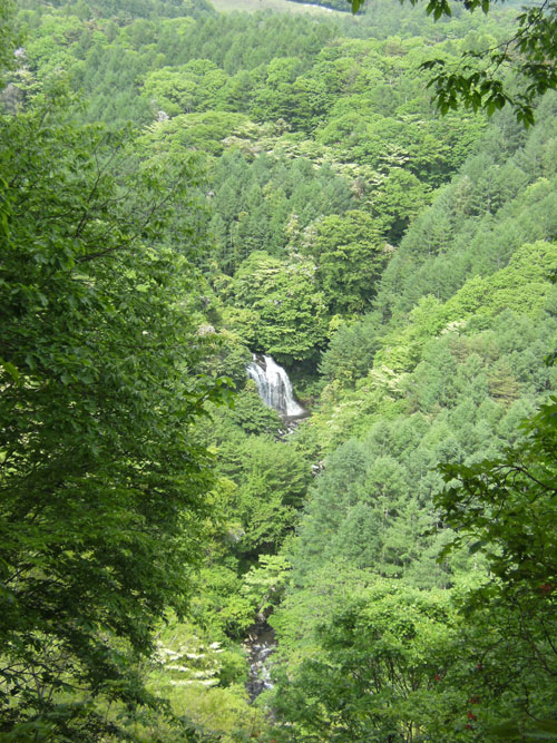 d0109415_16503028.jpg