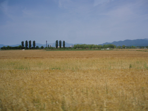 a0088920_2214599.jpg