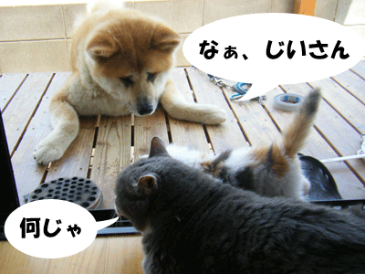 f0008935_13521110.gif