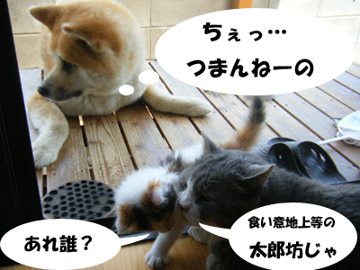 f0008935_13523956.gif