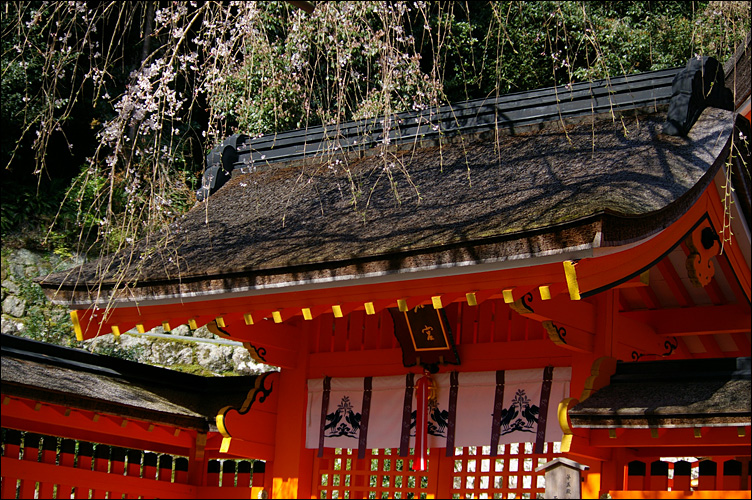 c0073742_1493537.jpg