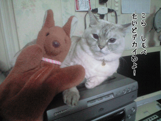 f0116546_2383351.gif