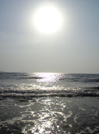 b0173852_16422066.jpg