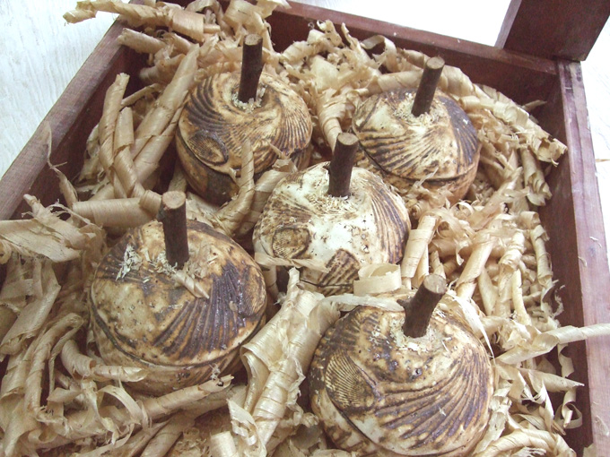 e0060452_11283080.jpg