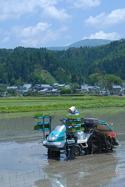 c0145453_01959.jpg