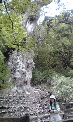 f0043559_11523355.jpg