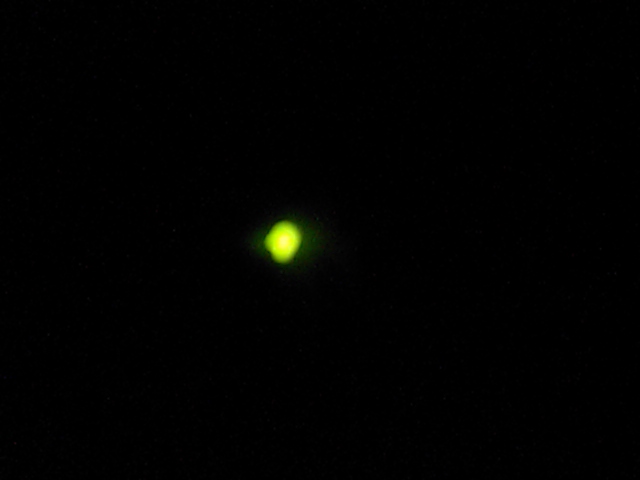 d0150060_0281421.jpg