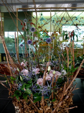 e0170461_1221018.jpg