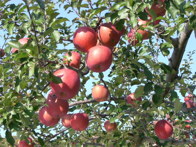 b0184468_0122985.jpg