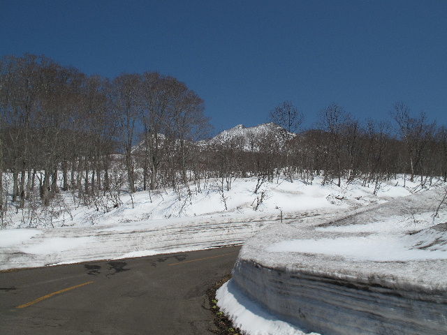 b0184468_023519.jpg