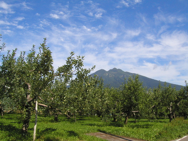 岩木山とりんご畑_b0184468_04238.jpg