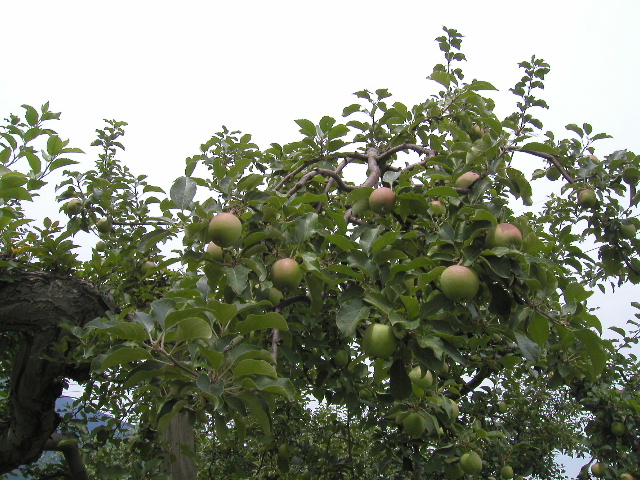 b0184468_0776.jpg