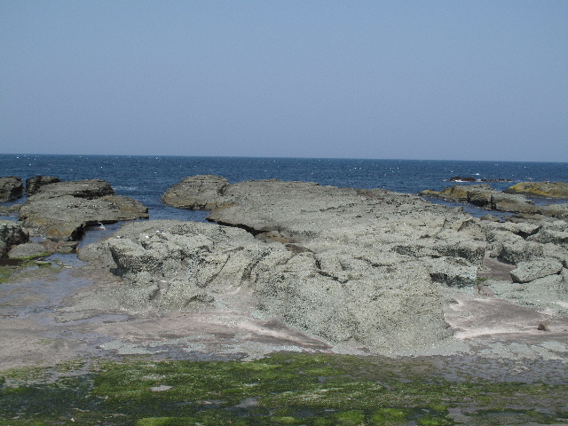 b0184468_23595365.jpg