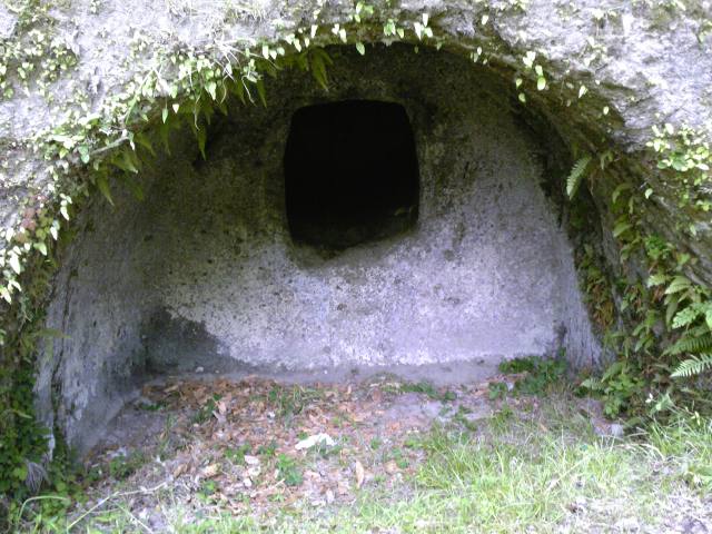 2009/6/3-4雨の三島函南史跡めぐりはじまり>蒲鉾型横穴墓ってほんと蒲鉾_b0116271_23504547.jpg