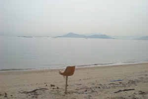 f0202071_85518.jpg