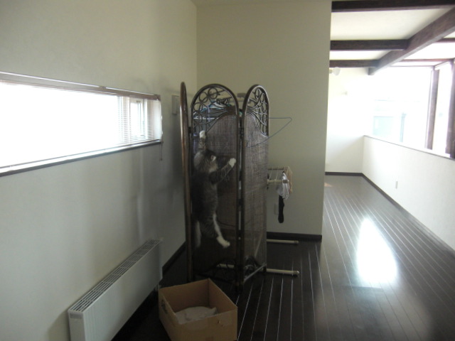 f0200773_883257.jpg