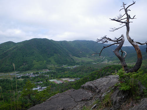 c0002874_03733.jpg