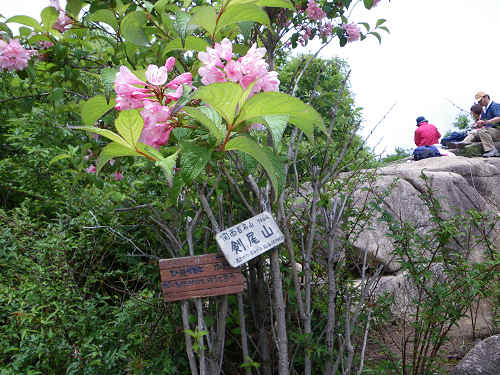 c0002874_07064.jpg