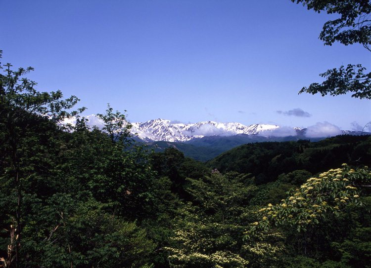 白馬村　野平_c0054876_16223891.jpg