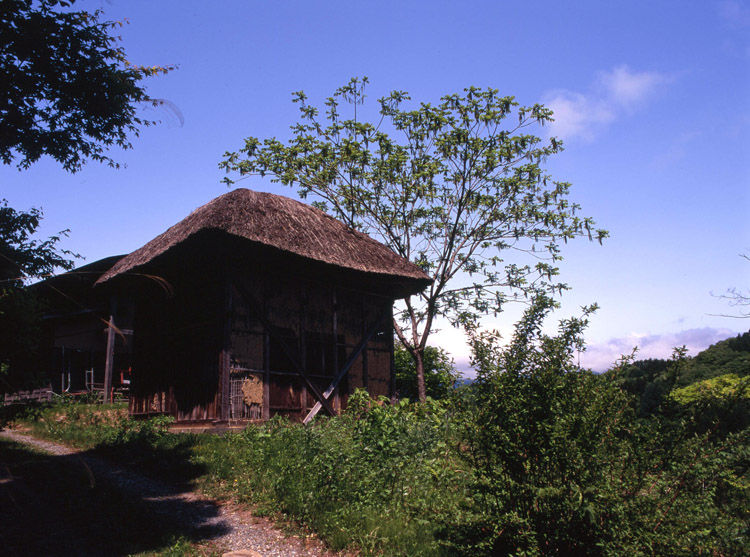 白馬村　野平_c0054876_16231617.jpg