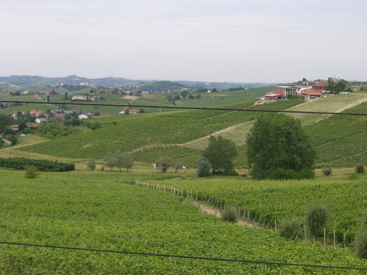 Basso Piemonte_c0185578_8233126.jpg