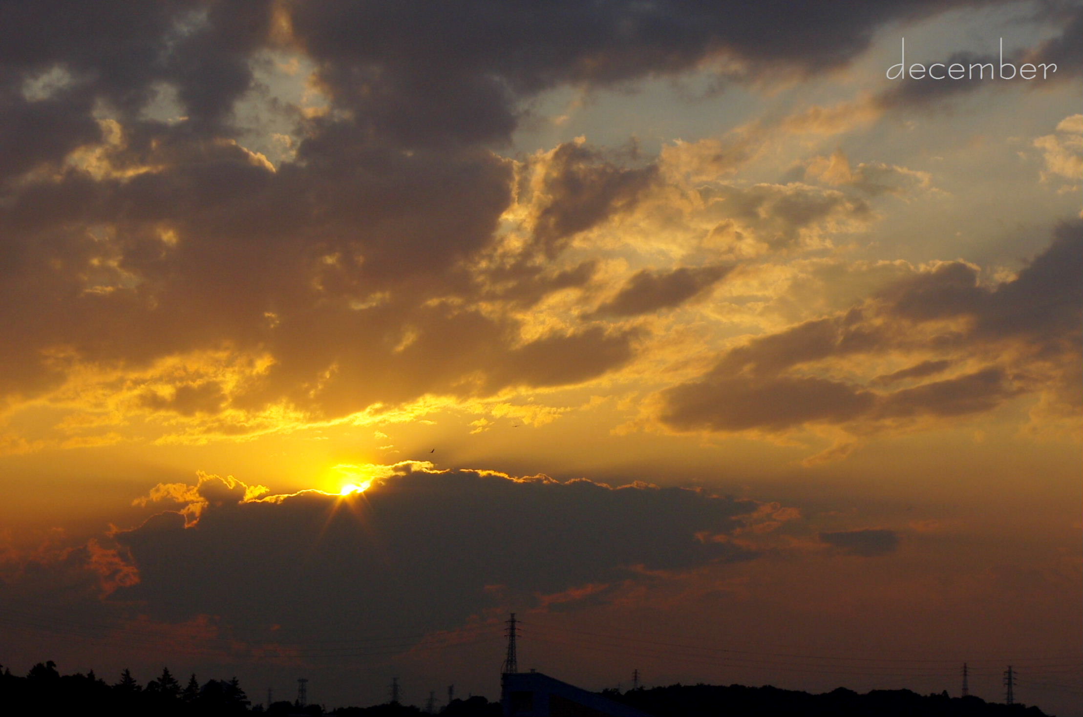 b0183988_07582.jpg