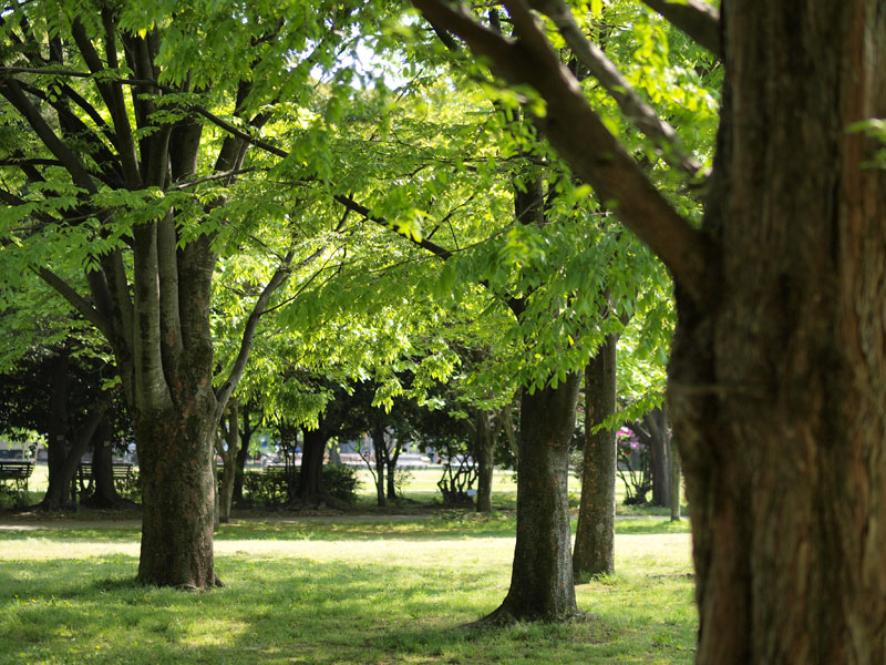 No.150　岐阜県　各務ヶ原市民公園 _b0120889_025549.jpg