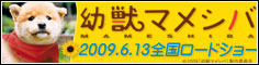 マメシバ、大人買い♪_f0062790_003750.jpg