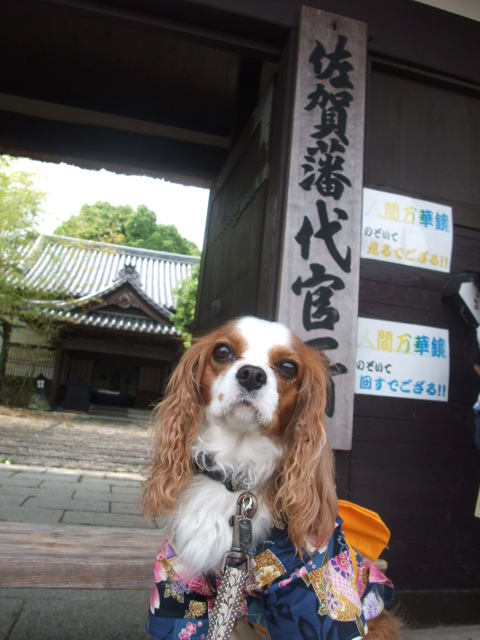b0146391_1503040.jpg