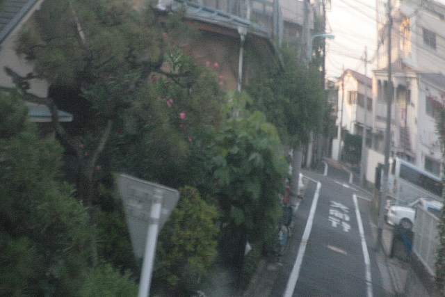 d0133693_15295640.jpg