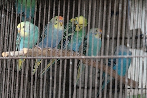 d0133693_15315538.jpg