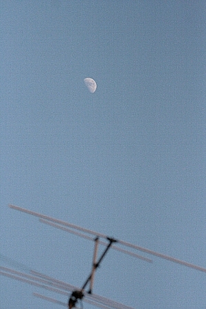d0133693_15372083.jpg