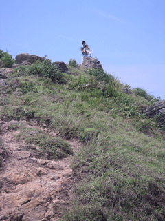 f0151093_20272877.gif
