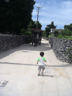 f0151093_20313960.gif