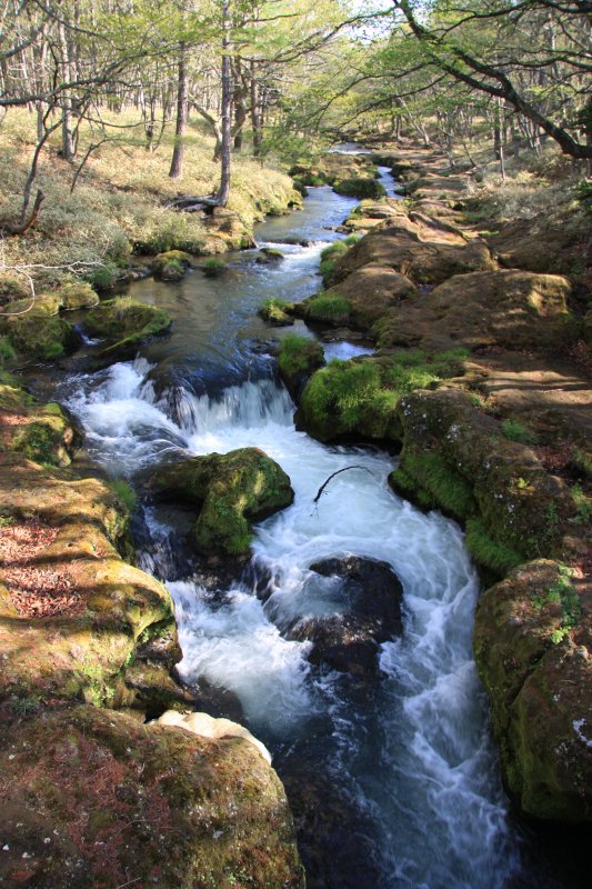 f0129994_23292649.jpg