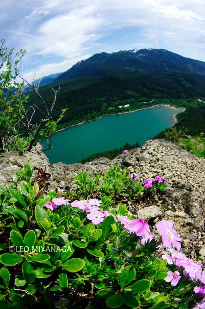 Rattlesnake Ledge Trail -2-_c0080101_1112418.jpg