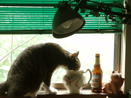 c0129702_2305215.gif