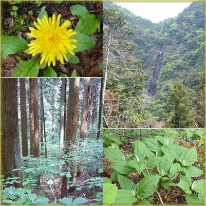 甲州高尾山へ_c0051105_215857.jpg