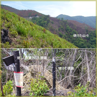 甲州高尾山へ_c0051105_22312413.jpg