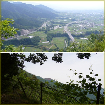 甲州高尾山へ_c0051105_2325245.jpg