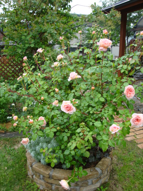 e0175905_22344098.jpg