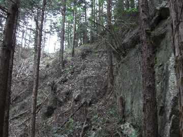 c0051112_15171679.jpg