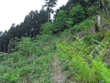 c0051112_15174697.jpg