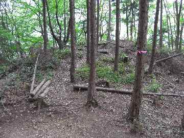 c0051112_15224087.jpg