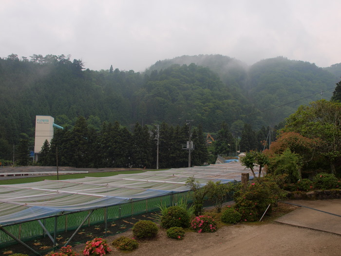 雨の風景_c0116915_075956.jpg