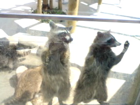 動物園の風景１_f0064823_9265113.jpg