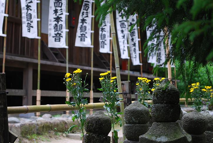 杉本寺 （5月19日）_d0085228_21265064.jpg